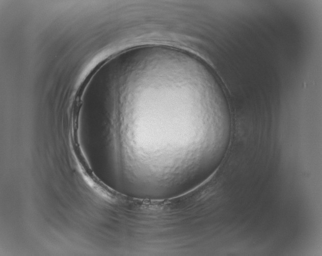 X0000077281515200610271445