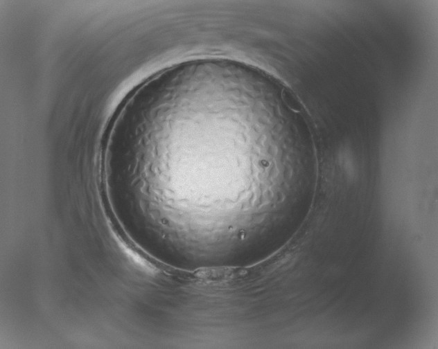 X0000077281519200610271445