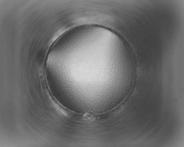 X0000077281521200610271445