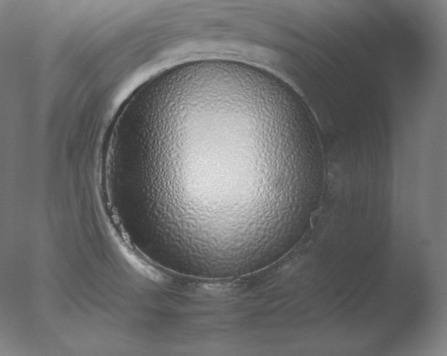 X0000077281523200610271445