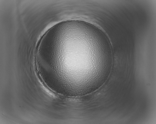 X0000077281525200610271445