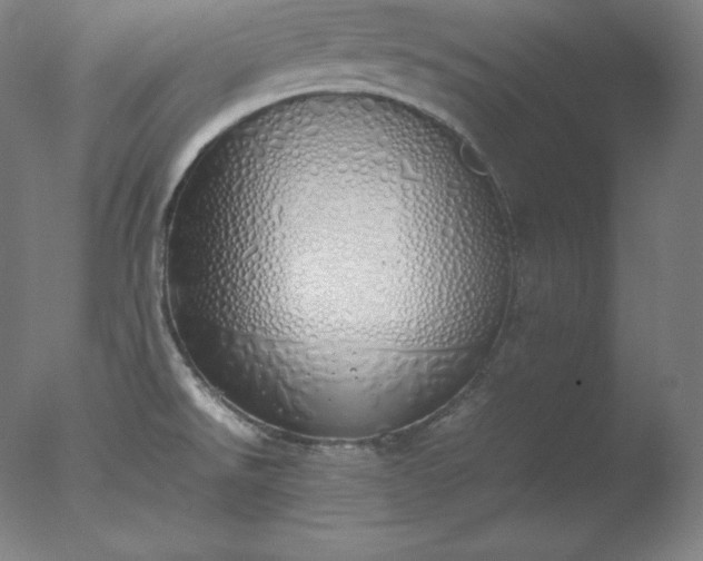 X0000077281526200610271445