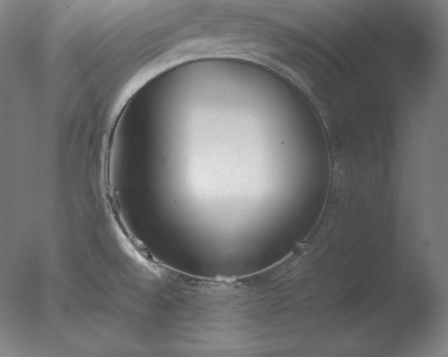X0000077281528200610271445