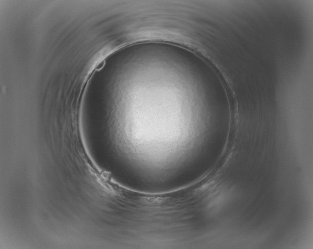 X0000077281529200610271445