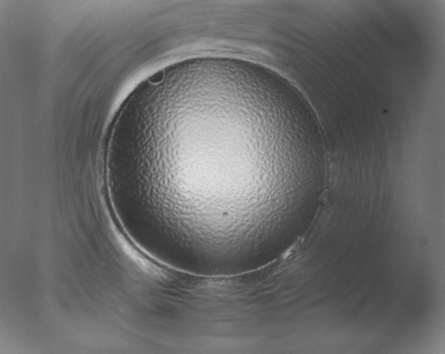 X0000077281531200610271445