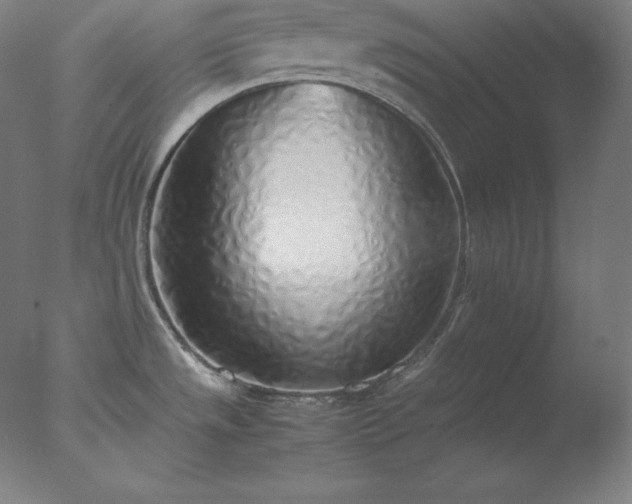 X0000077281533200610271445