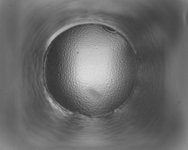X0000077281534200610271445