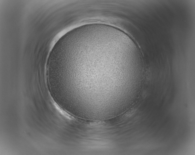 X0000077281535200610271445