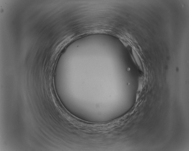 X0000077280001200611031537