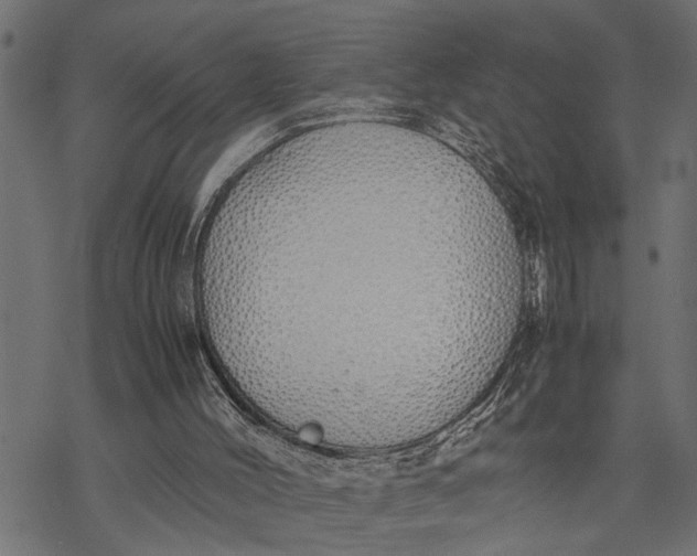 X0000077280004200611031537