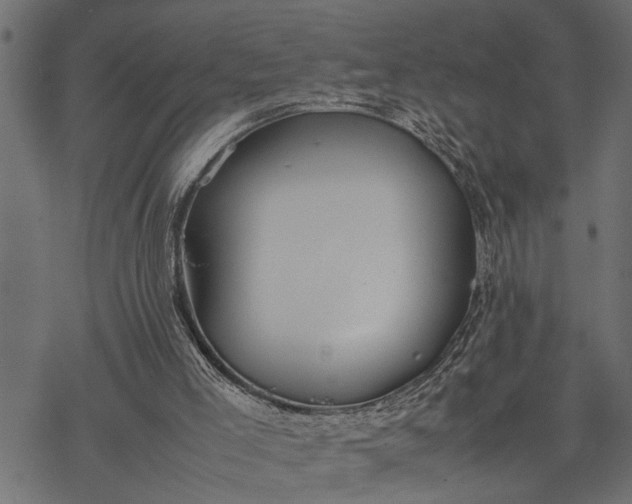 X0000077280005200611031537