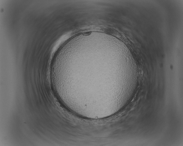 X0000077280006200611031537