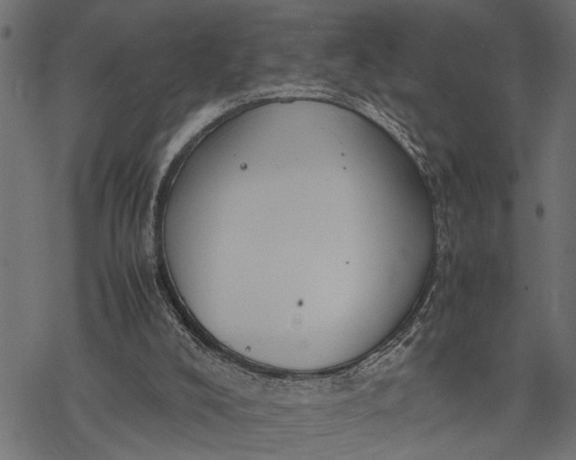 X0000077280008200611031537