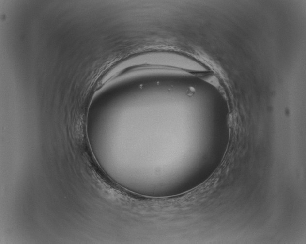 X0000077280009200611031537