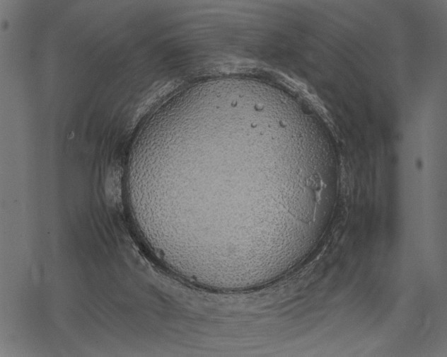 X0000077280010200611031537