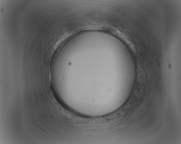 X0000077280011200611031537