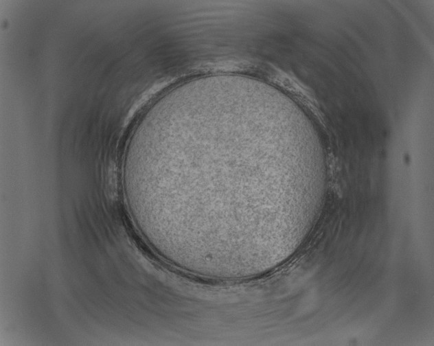 X0000077280012200611031537