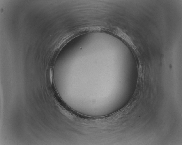 X0000077280013200611031537