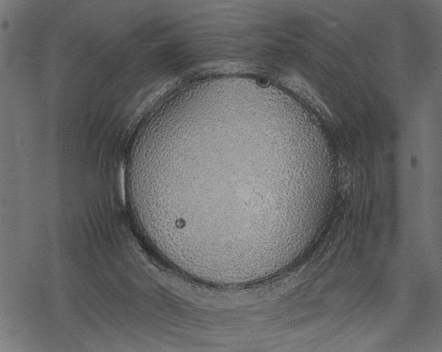 X0000077280014200611031537