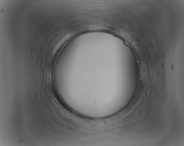 X0000077280015200611031537