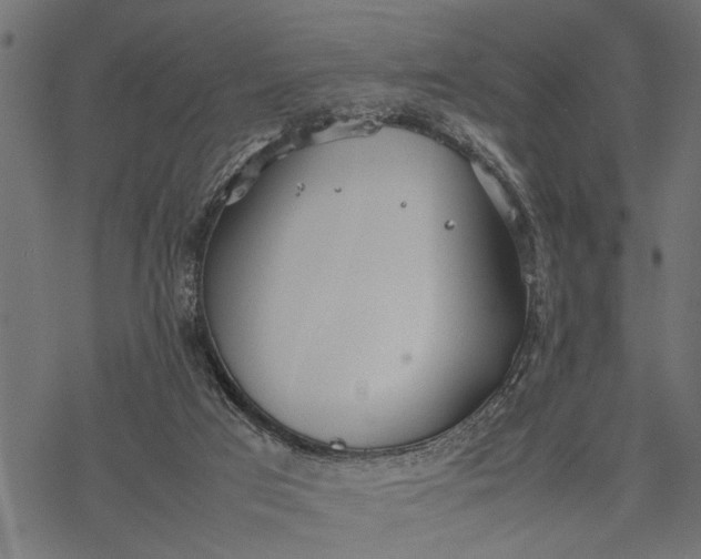 X0000077280017200611031537