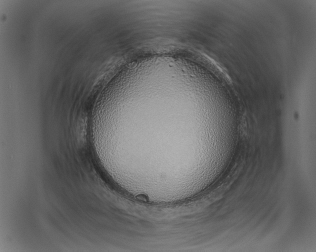 X0000077280018200611031537