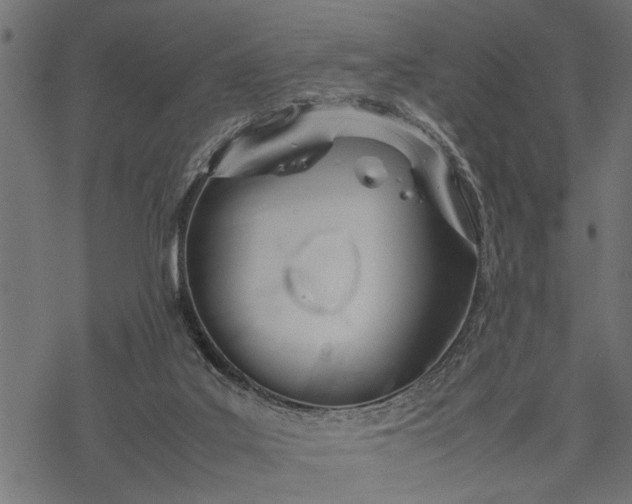 X0000077280019200611031536