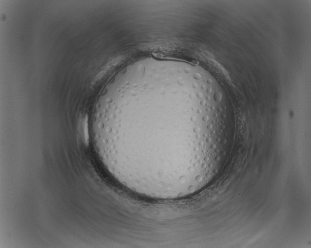 X0000077280020200611031536