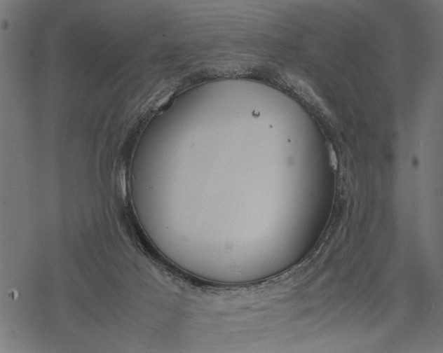 X0000077280021200611031536