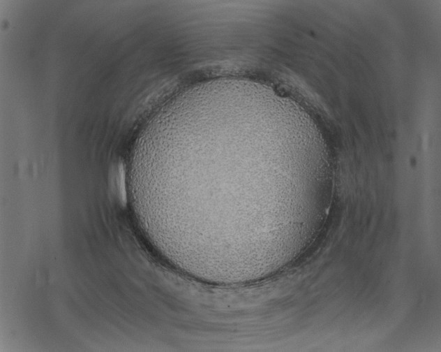 X0000077280022200611031536