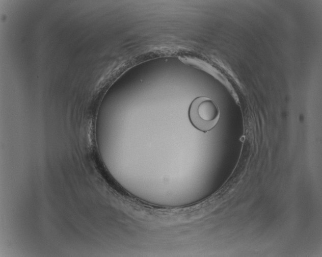 X0000077280023200611031536