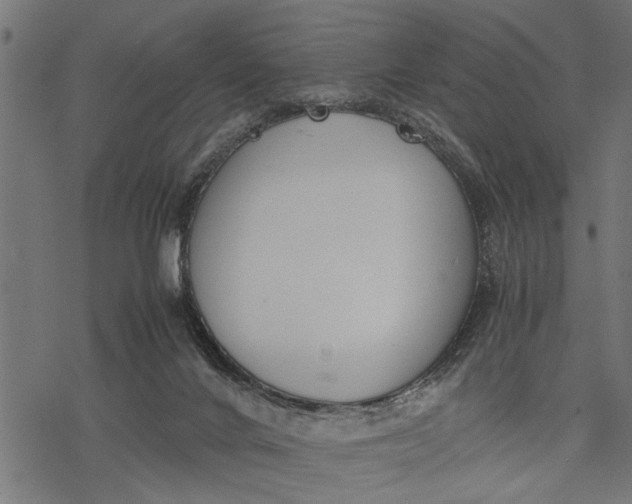 X0000077280024200611031536