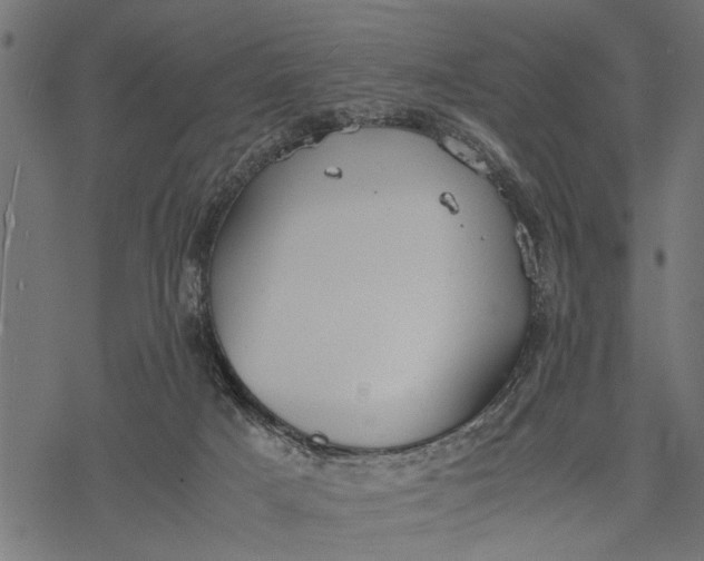 X0000077280025200611031536