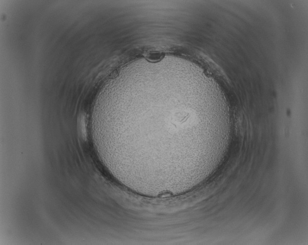 X0000077280026200611031536