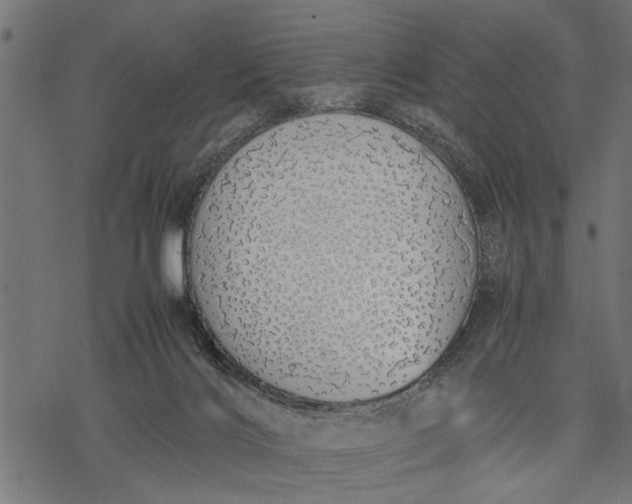 X0000077280028200611031536