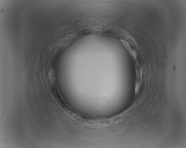 X0000077280029200611031536