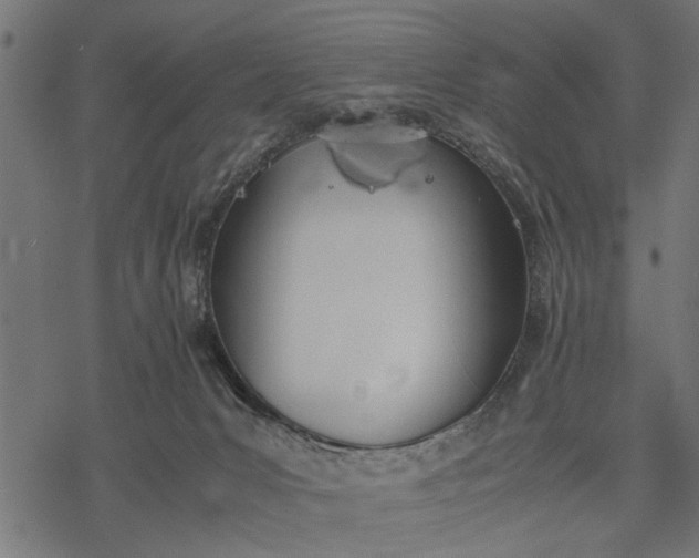 X0000077280031200611031536