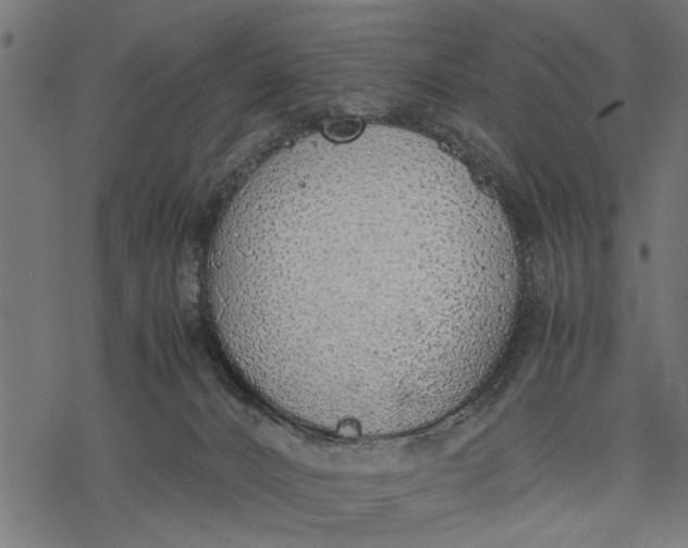 X0000077280032200611031536