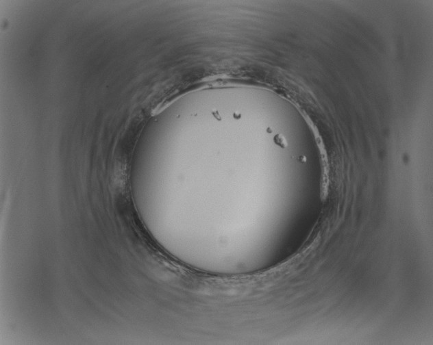 X0000077280033200611031536