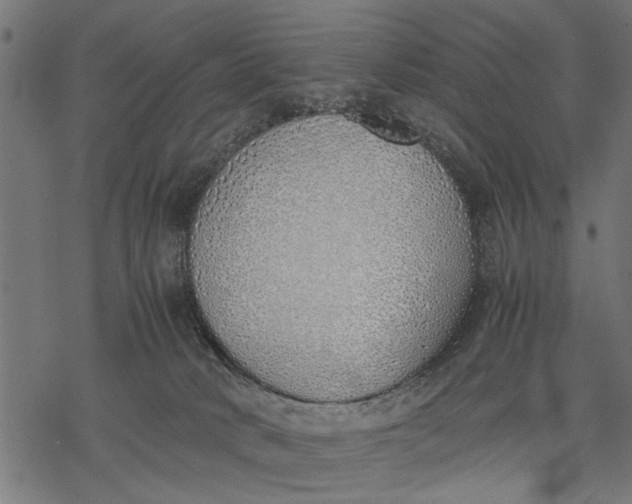 X0000077280034200611031536