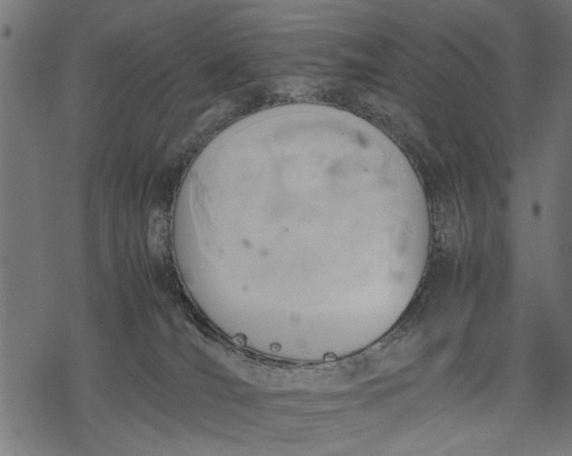 X0000077280036200611031536