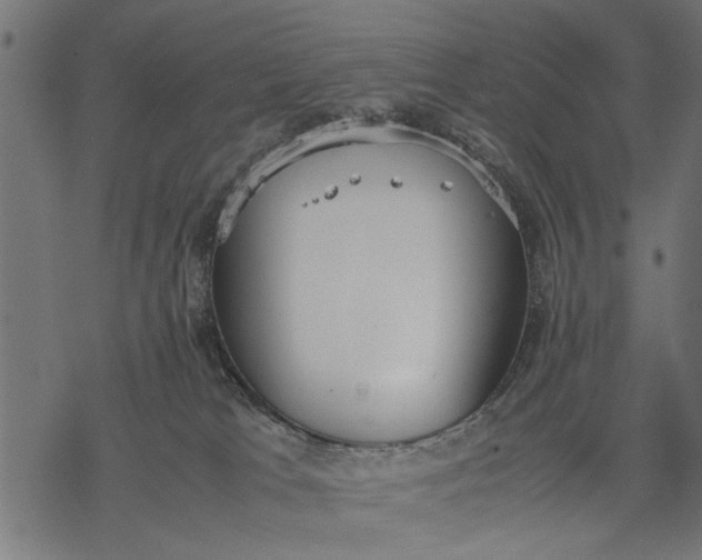 X0000077280037200611031536