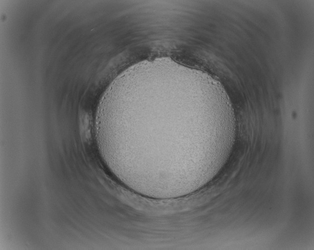 X0000077280038200611031536