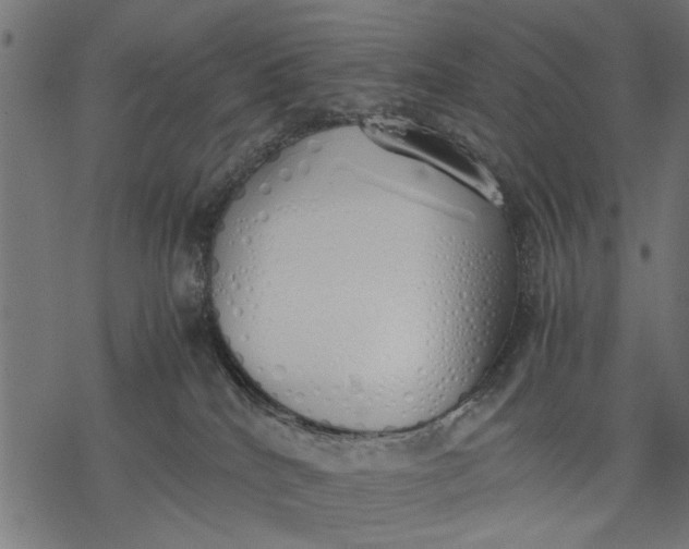 X0000077280040200611031536