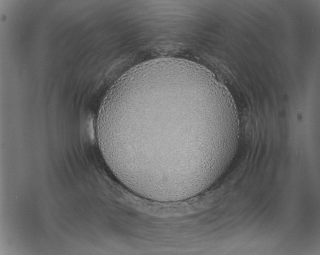 X0000077280042200611031536