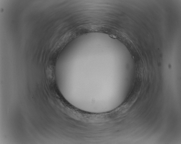 X0000077280044200611031536