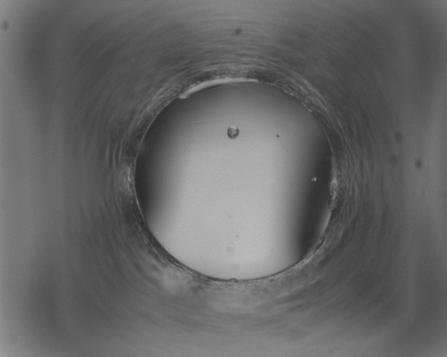 X0000077280045200611031536