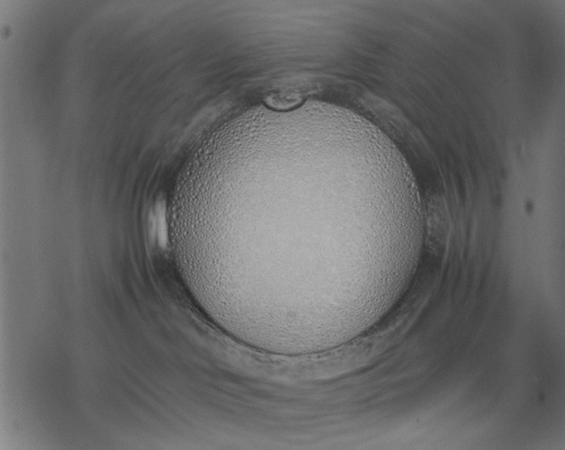 X0000077280046200611031536