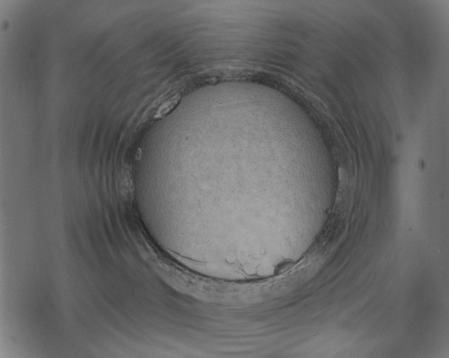 X0000077280048200611031536