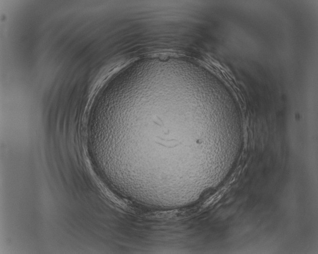 X0000077280049200611031535